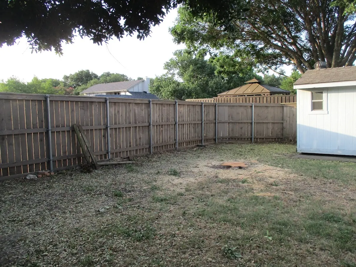 Cleared yard after professional tree removal in Sunspot
